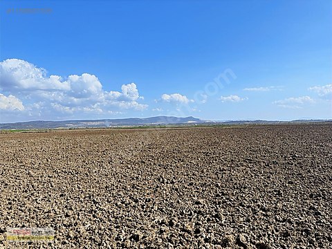 Nadas Uygulamanın Faydaları