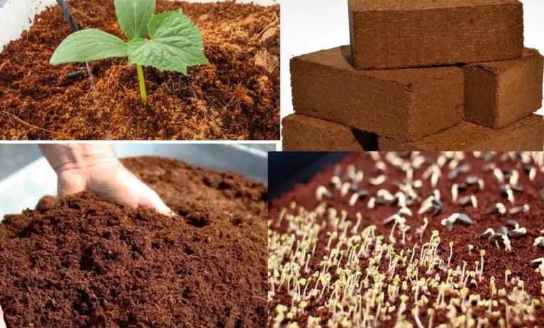 Topraksız tarımda Cocopeat (Kokopit) nedir, ne işe yarar?